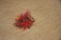 /album/%ce%b4%ce%b1%cf%87%cf%84%cf%85%ce%bb%ce%af%ce%b4%ce%b9%ce%b1-rings/img-1865-jpg/