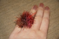 /album/%ce%b4%ce%b1%cf%87%cf%84%cf%85%ce%bb%ce%af%ce%b4%ce%b9%ce%b1-rings/img-1867-jpg/