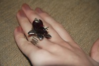 /album/%ce%b4%ce%b1%cf%87%cf%84%cf%85%ce%bb%ce%af%ce%b4%ce%b9%ce%b1-rings/img-1888-jpg/