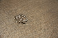 /album/%ce%b4%ce%b1%cf%87%cf%84%cf%85%ce%bb%ce%af%ce%b4%ce%b9%ce%b1-rings/img-1899-jpg/