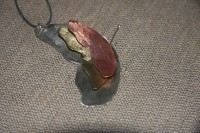 /album/%ce%ba%cf%81%ce%b5%ce%bc%ce%b1%cf%83%cf%84%ce%ac/img-1979-jpg/